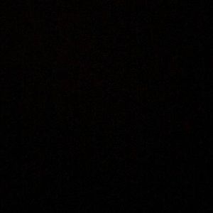 Meet your Posher, Laney